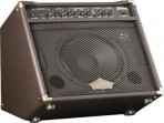 Amplificador  Washburn  WA 30  para Guitarra Acústica - Efectos -   Entrada de Micrófono 30 Watts  RMS 