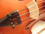 Viola Giulianni 16