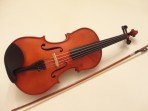 Viola Giulianni 16