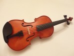 Viola Giulianni 16