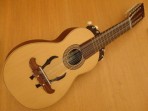 Guitarrón Chileno de 25 Cuerdas ( PRODUCTO AGOTADO )