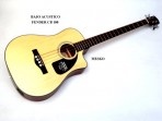 Bajo Electroacústico Fender  (PRODUCTO AGOTADO)