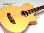 BAJO Electroacústico  WASHBURN AB 5 # 29