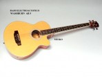 BAJO Electroacústico  WASHBURN AB 5 # 29
