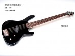 Bajo Eléctrico 5 Cuerdas Washburn XB - 105 (PRODUCTO AGOTADO)