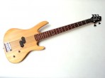 Bajo Eléctrico 5 Cuerdas Washburn XB - 105 (PRODUCTO AGOTADO)