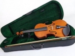 Viola Giulianni 13