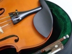 Viola Giulianni 13
