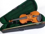 Viola Giulianni 13