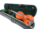 Viola Giulianni 15
