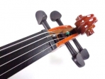 Viola Giulianni 15