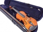 Viola Cervini  HVA - 150 by  Cremona  14
