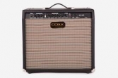 Amplificador Coxx AE 30 para Guitarra Electroacústica ( PRODUCTO AGOTADO )