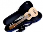 Estuche  Para Ukelele Soprano 21