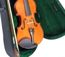Violín Giulianni   3/4 y 4/4  Con Arco  Estuche y Resina