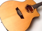 Washburn  WL 010 SCE, Guitarra   Electroácustica - Equalizador Fishman con Afinador  ( PRODUCTO AGOTADO )
