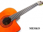 Washburn C - 5 CE, Guitarra  Cuerdas Nylon con Equalizador  Con Afinador Barcus Berry 
