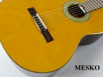  Ibanez GA 3 AM, Guitarra Cuerdas Nylon 19 Trastes  # 10  B
