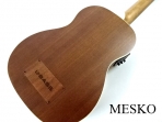 Kala PSGR - FS  U - BASS   Ukelele  (PRODUCTO AGOTADO)