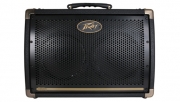Amplificador PEAVEY  E 208 Para Guitarra Electroacústica  2 Parlantes 30 Watts ( PRODUCTO AGOTADO )
