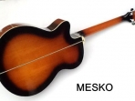 Washburn  EA 12 TS Guitarra Cuerdas Metálicas  Electroacústica  Equalizador Con Ainador   Barcus Berry 