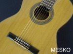 Ibanez G 200E, Guitarra Clásica Cuerdas Nylon G 200E  con Equalizador Joyo JE 305 con Afinador (PRODUCTO AGOTADO)