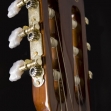 Washburn C 5 - WSH A Series Guitarra Clásica Cuerdas Nylon, 19 Espacios  # 27 B