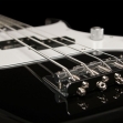 Washburn SB 1 4  SB 1 PB  4 Cuerdas 21 Espacios ( PRODUCTO AGOTADO )