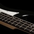 Washburn SB 1 4  SB 1 PB  4 Cuerdas 21 Espacios ( PRODUCTO AGOTADO )