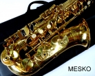Saxo Alto Laqueado ROY BENSON  AS-202 - Afinado en MI bemol   Incluye Estuche, Colgador.