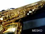 Saxo Alto Laqueado ROY BENSON  AS-202 - Afinado en MI bemol   Incluye Estuche, Colgador.