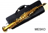 Saxo Soprano ROY BENSON SS-302 Laqueado con Estuche y Colgador ( PRODUCTO AGOTADO )