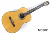 Cort AC 200  - NAT, Guitarra Clásica  Brillante, Cuerdas Nylon Incluye Funda  (PRODUCTO AGOTADO)