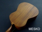  Washburn U 20 Ukelele  Contra Alto  # 36