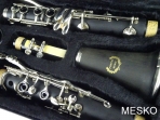 Clarinete Fontai FT 6402 E  17 Llaves -  Afinado en Si bemol Bb Fabricado en Resina Ebonita, Mecanismo  Niquelado, Incluye Paño de Limpieza y Lubricante