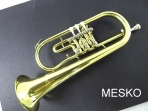 Fliscorno (Flugelhorn)  Fontai FT 12 - 5 - 10 con Cilindro de Valvula, Bb Yncluye Estuche (PRODUCTO AGOTADO)