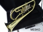 Fliscorno (Flugelhorn)  Fontai FT 12 - 5 - 10 con Cilindro de Valvula, Bb Yncluye Estuche