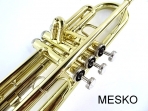Trompeta Allegro Gold 6416 L  Dorada, Incluye Estuche