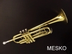 Trompeta Allegro Gold 6416 L  Dorada, Incluye Estuche