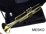 Trompeta Allegro Gold 6416 L  Dorada, Incluye Estuche