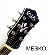 GWL by Washburn, Guitara Acustic Pack  Folk Cuerdas Metálicas #  23 B