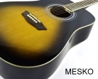 GWL by Washburn, Guitara Acustic Pack  Folk Cuerdas Metálicas #  23 B