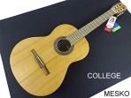  Alhambra COLLEGE, Guitarra Española, Clásica Cuerpo: Cedro Macizo Fondo y aros: Wengué, Diapasón y puente: Mongoy, Acabado: Natural Opaco, Cuerdas: D'Addario Pro Arte EZ Accesorios: Funda Alhambra incluida  # 6 B