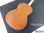  Alhambra COLLEGE, Guitarra Española, Clásica Cuerpo: Cedro Macizo Fondo y aros: Wengué, Diapasón y puente: Mongoy, Acabado: Natural Opaco, Cuerdas: D'Addario Pro Arte EZ Accesorios: Funda Alhambra incluida  # 6 B  (PRODUCTO AGOTADO)