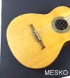 Alhambra COLLEGE, Guitarra Española, Clásica Cuerpo: Cedro Macizo Fondo y aros: Wengué, Diapasón y puente: Mongoy, Acabado: Natural Opaco, Cuerdas: D'Addario Pro Arte EZ Accesorios: Funda Alhambra incluida  # 6 B  (PRODUCTO AGOTADO)