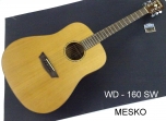 Washburn WD - 160 SW  Folk Guitarra Construidas en Maderas Solidas  Nivel Profesional # 36 B