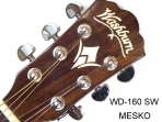 Washburn WD - 160 SW  Folk Guitarra Construidas en Maderas Solidas  Nivel Profesional # 36 B
