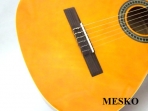  Ibanez GA - 3 Guitarra Clásica Cuerdas Nylon Electroacustica y Equalizador con Afinador Activo  Joyo JE - 303 