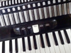 Acordeon Scimone L 1308 - 60 Bajos 5 Registros con Estuche y Correas