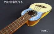 Pedro Quispe T. Charango Especial Nivel Profesional con y sin Nacar. Incluye Funda    # 16 